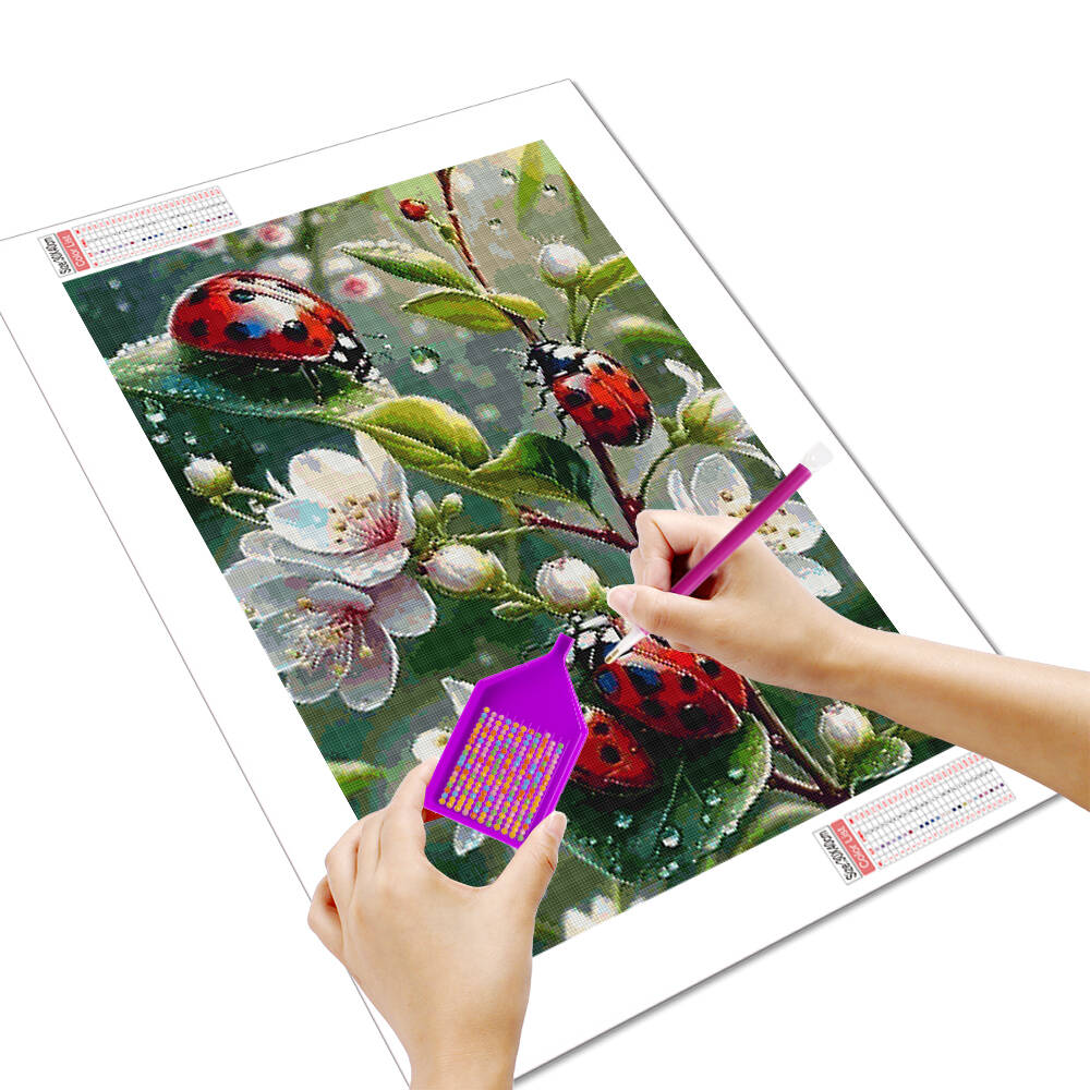 HUACAN 5d Diamond Painting Lad - огляд і ціна Embroidery Lady Bug