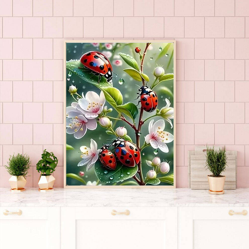 HUACAN 5d Diamond Painting Lad - огляд і ціна Embroidery Lady Bug